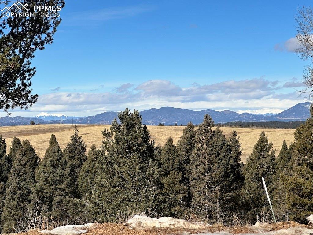 4600 Elk Valley Rd., Divide, CO 80814
