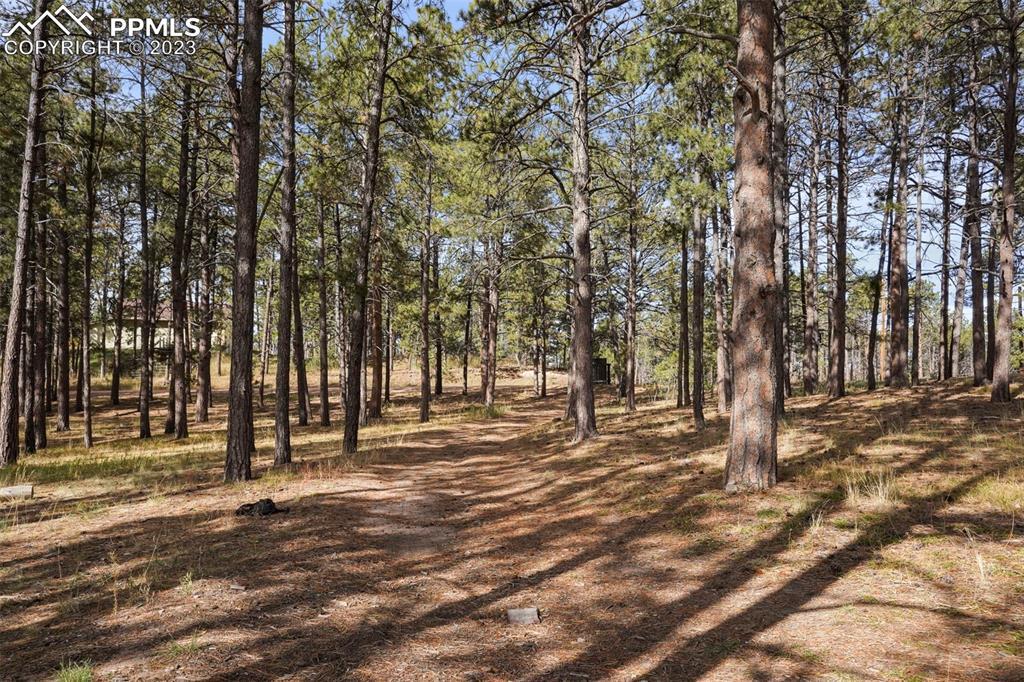 7335 Swan Rd., Colorado Springs, CO 80908