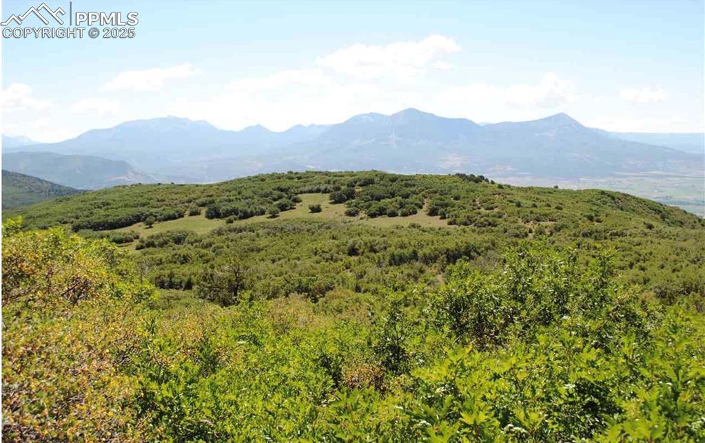 18965 Johnson Rd., Paonia, CO 81428