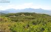 New Homes For Sale This Week in Paonia: August 1st to August 7th