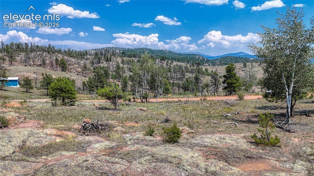 617 Chateau Vista, Florissant, CO 80816