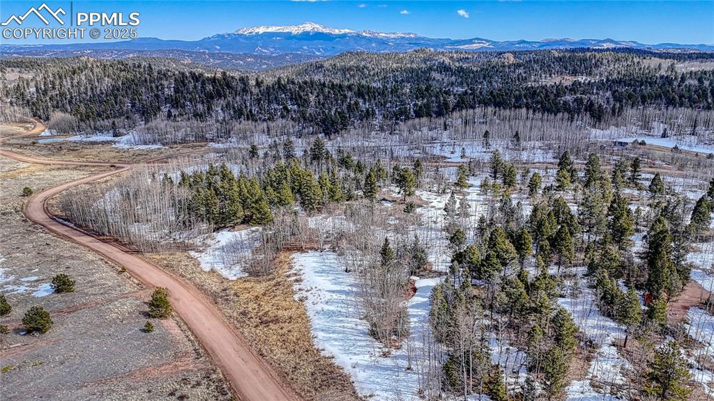654 Aspen Way Dr., Florissant, CO 80816