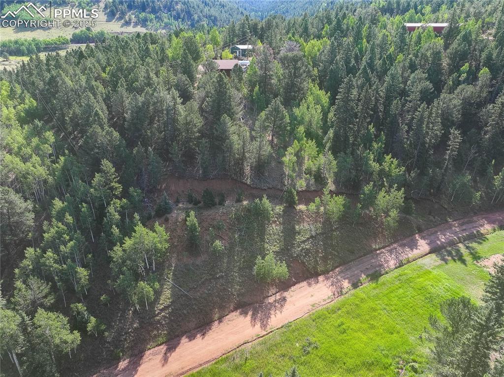 490 Willow Rd., Divide, CO 80814