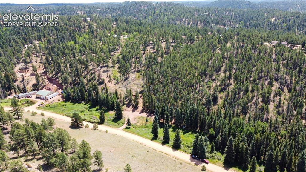 1570 Pathfinder Rd., Florissant, CO 80816