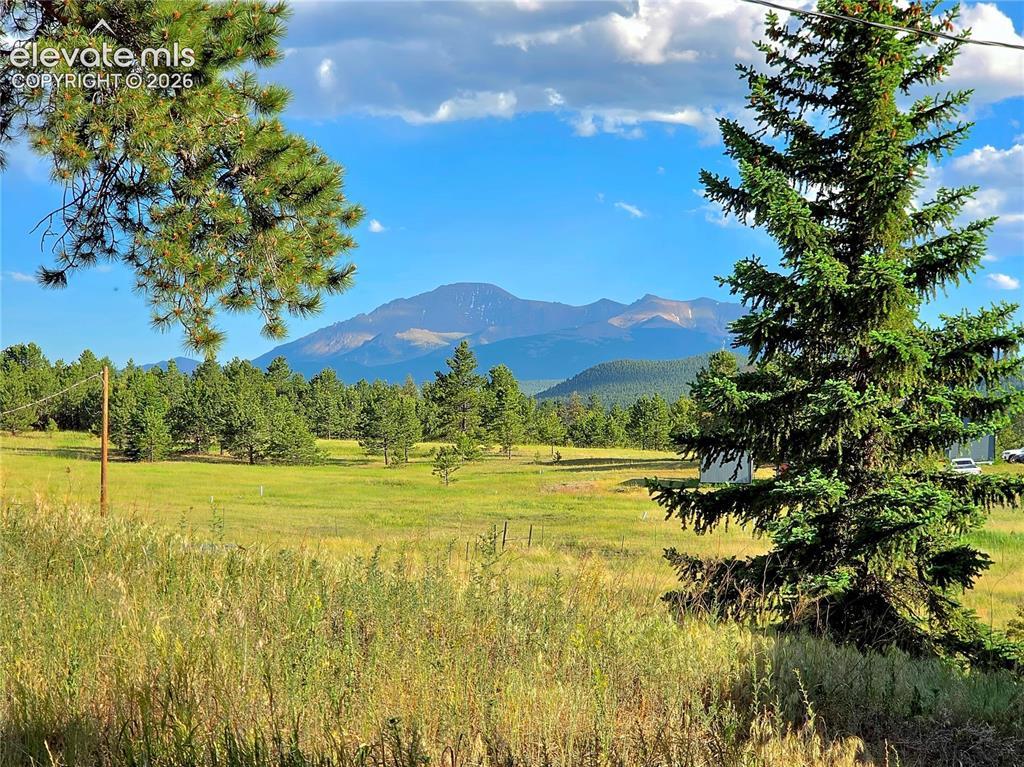 584 Sourdough Rd., Woodland Park, CO 80863