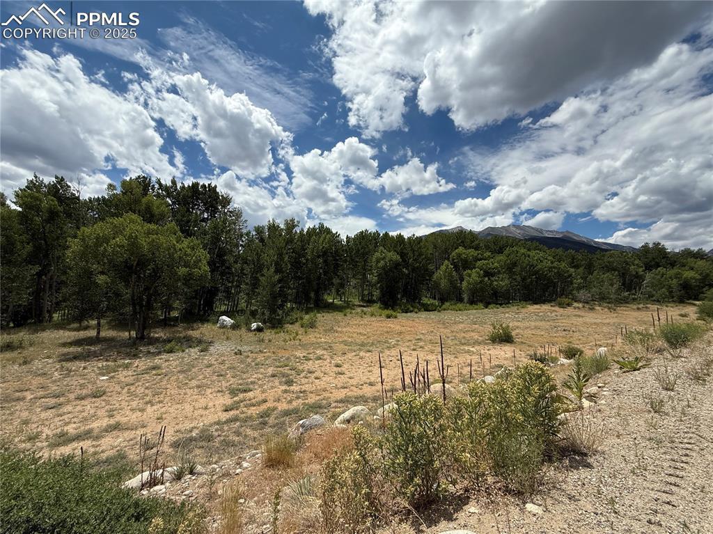 17566 Trout Cir., Buena Vista, CO 81211