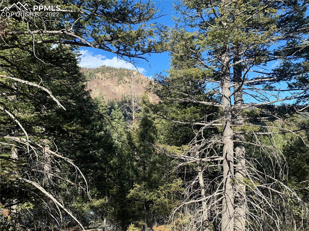 00000 Little Turkey Creek Rd., Colorado Springs, CO 80926