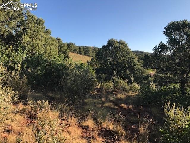 4580 Monitor Rock Ln., Colorado Springs, CO 80904