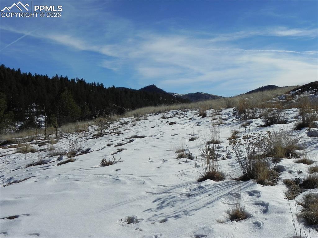 277 Gold King Dr., Cripple Creek, CO 80813