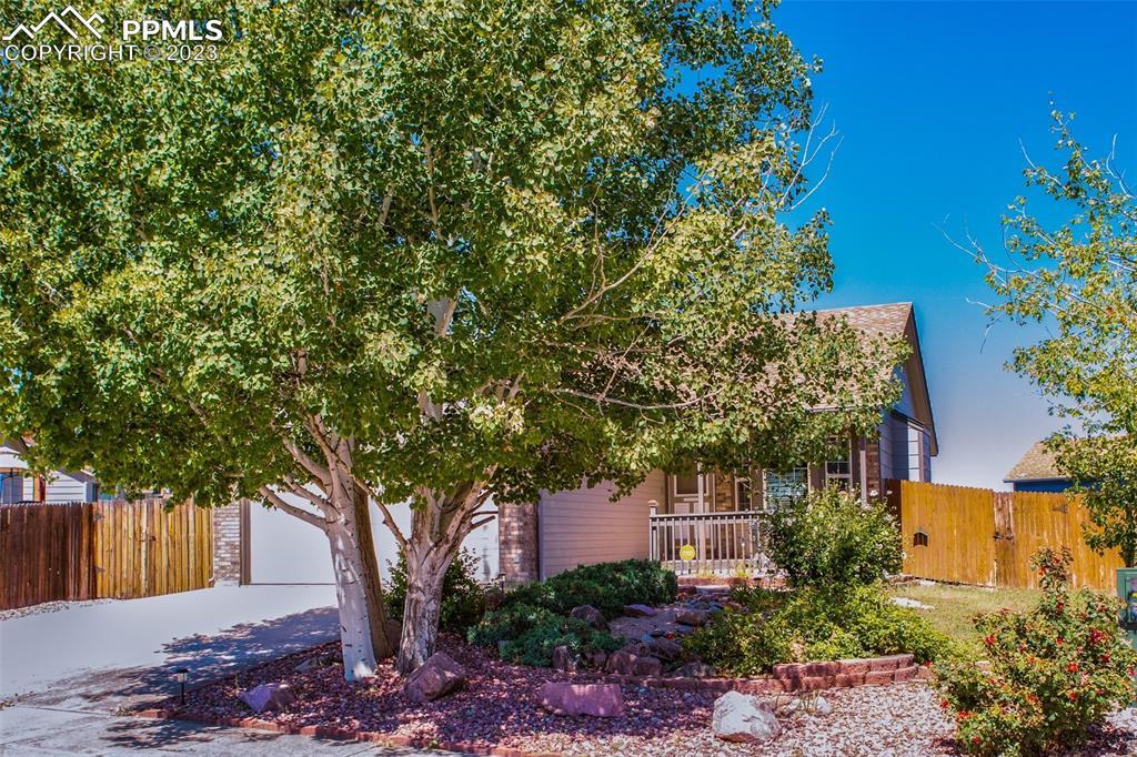 8226 Pinegate Dr., Colorado Springs, CO 80925