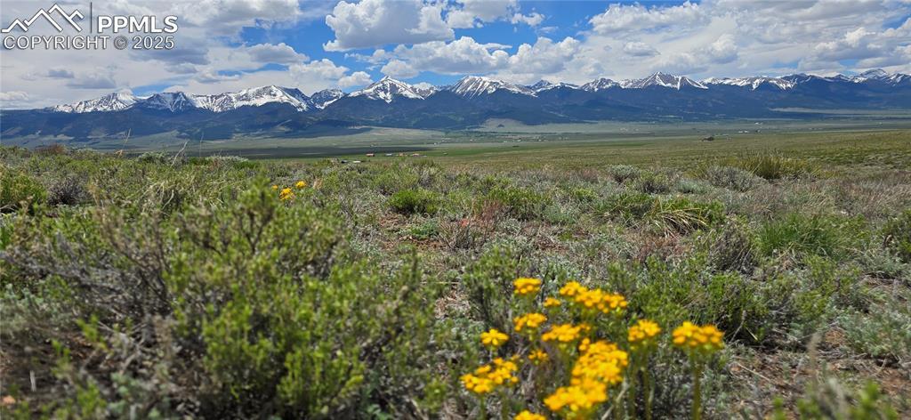 [Address Hidden by Seller], Westcliffe, CO 81252