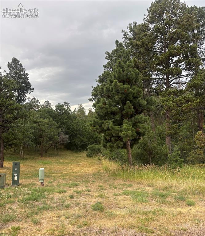 1455 Blueberry Hills Rd., Monument, CO 80132