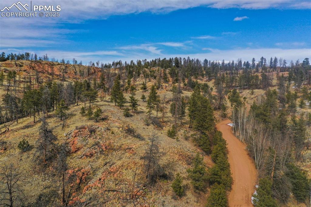 397 Chateau West Dr., Florissant, CO 80816