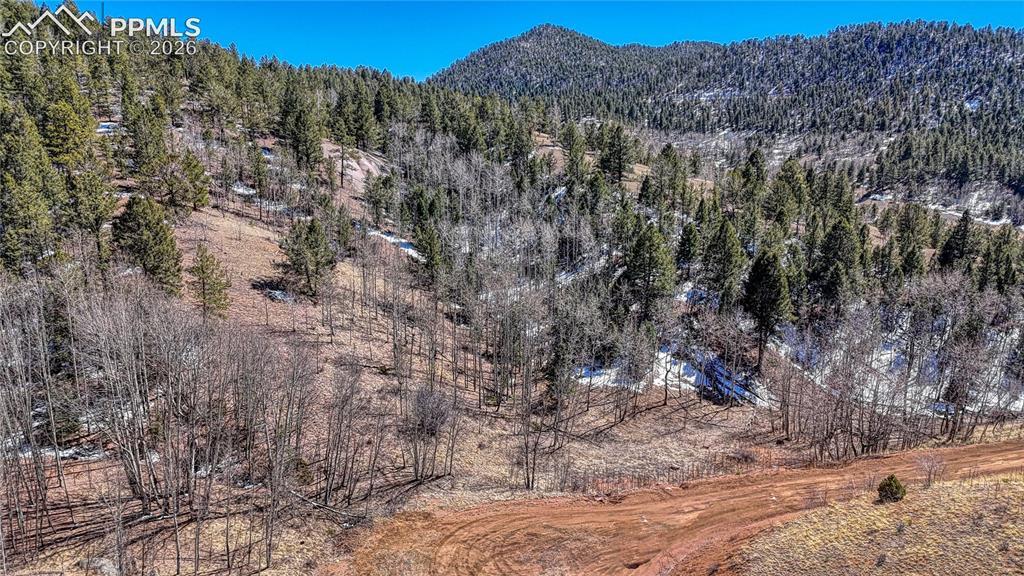 513 Last Dollar Dr., Cripple Creek, CO 80813