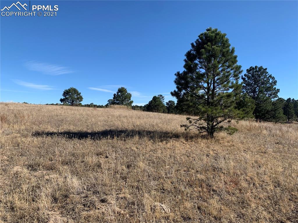 11761 Flap Jack Ln., Colorado Springs, CO 80908