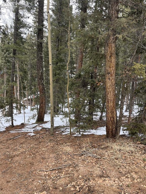 2763 N Mountain Estates Rd., Florissant, CO 80816