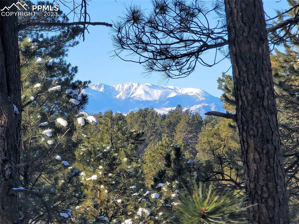 8235 Bar X Ter., Colorado Springs, CO 80908