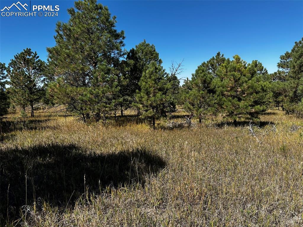 5435 Old Stagecoach Rd., Colorado Springs, CO 80908