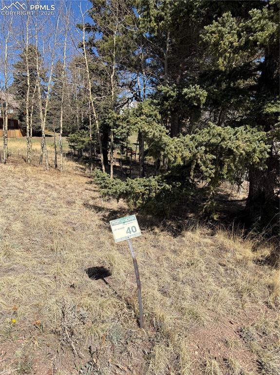 405 Meadow Park Dr., Divide, CO 80814
