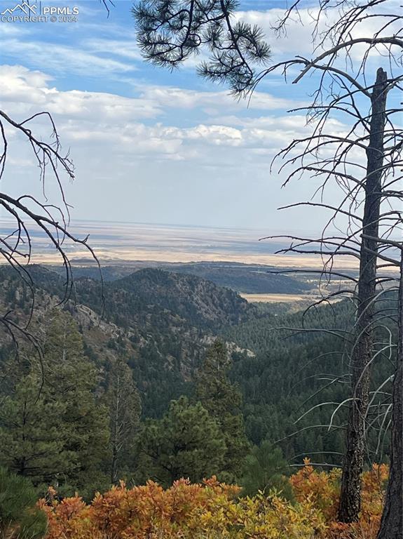 5448 Little Turkey Creek Rd., Colorado Springs, CO 80926