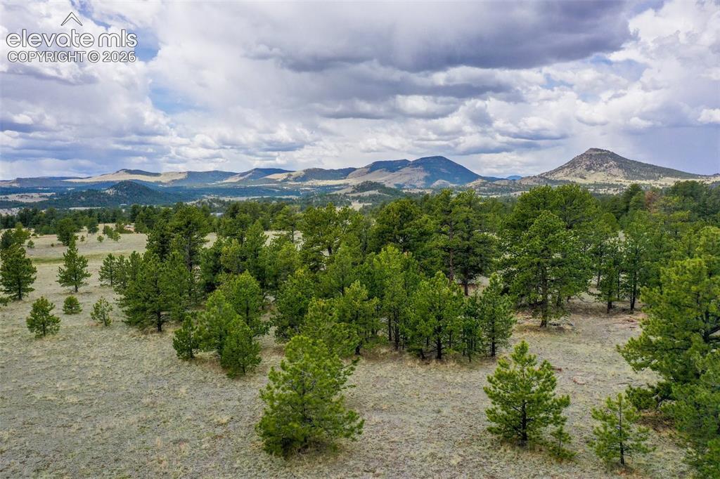 tbd Doe Valley Rd., Guffey, CO 80820