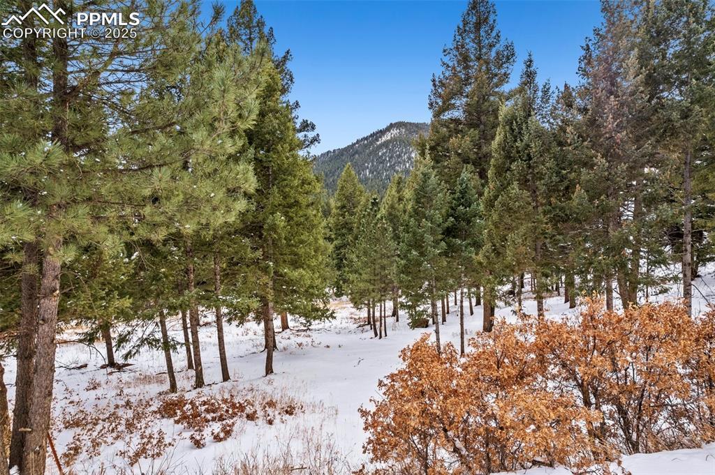 Mountain Ranch Rd., Larkspur, CO 80118