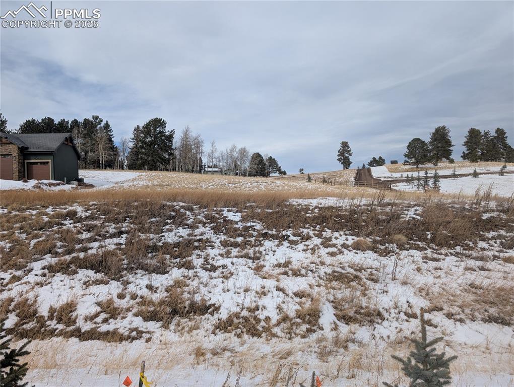 307 Pinaceae Heights, Divide, CO 80814