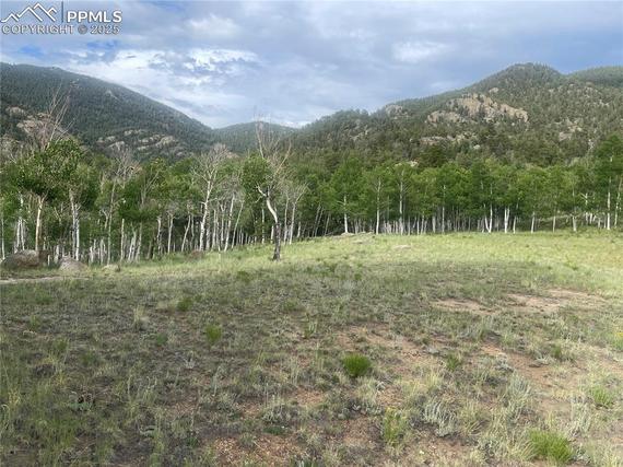 New Homes For Sale This Week in Lake George: June 20th to June 26th