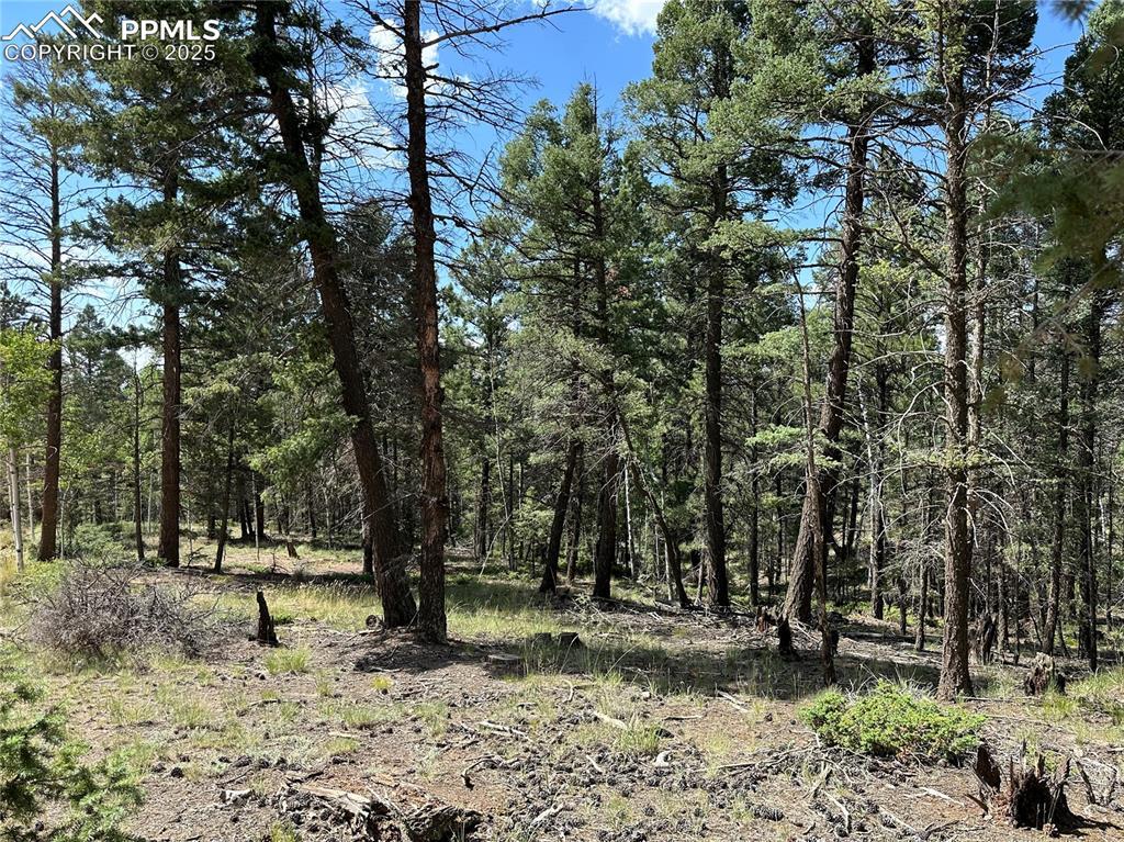 671 Pinewood Rd., Florissant, CO 80816