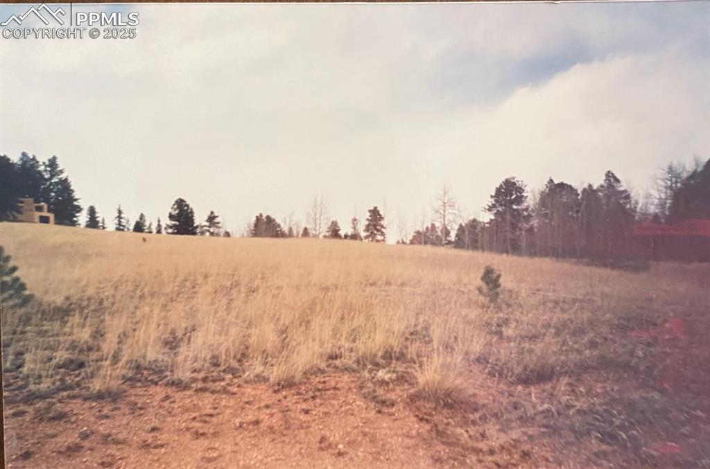 785 Obsidian Dr., Florissant, CO 80816