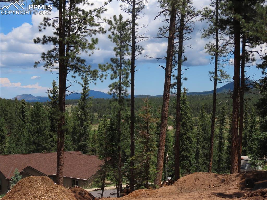 1615 Masters Dr., Woodland Park, CO 80863