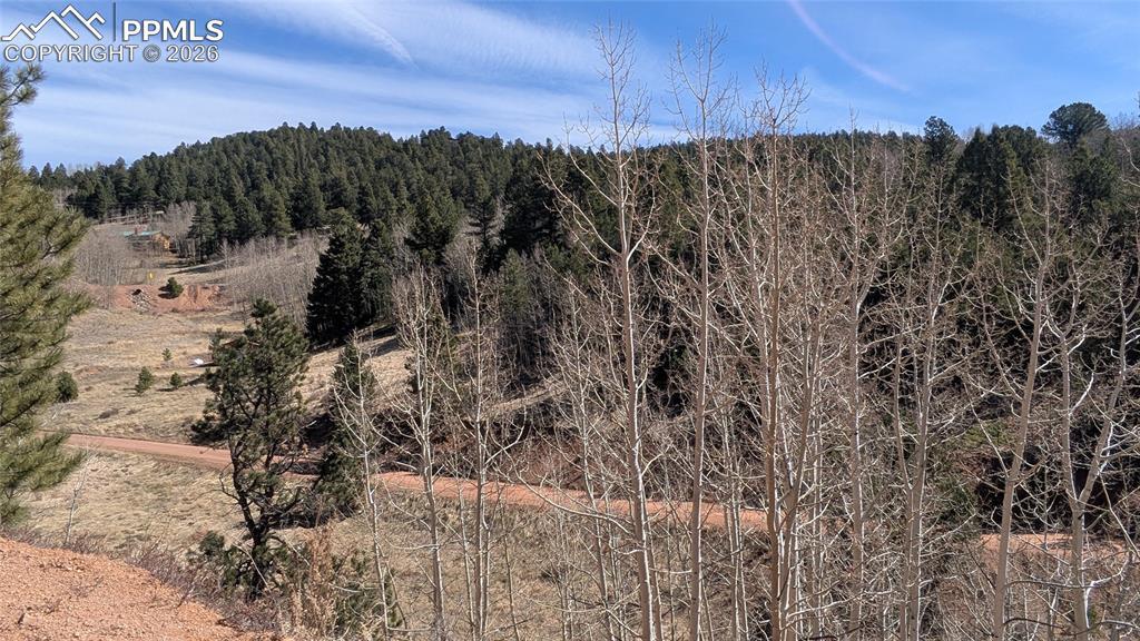 170 Valley Rd., Divide, CO 80814