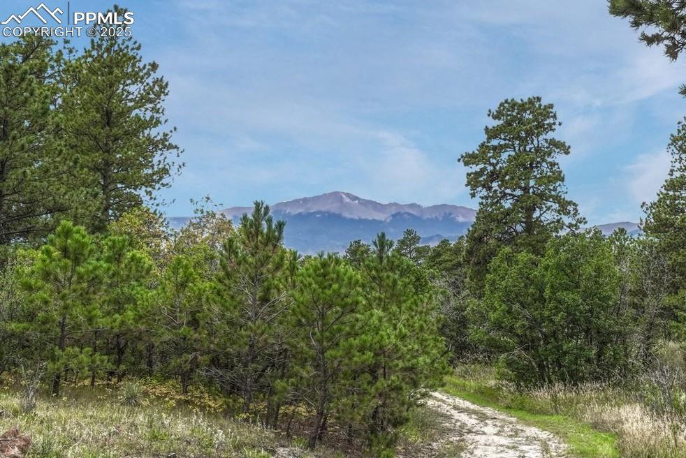 10625 Milam Rd., Colorado Springs, CO 80908