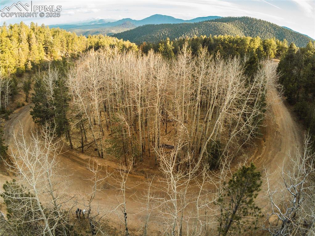13305 S Resort Dr., Conifer, CO 80433