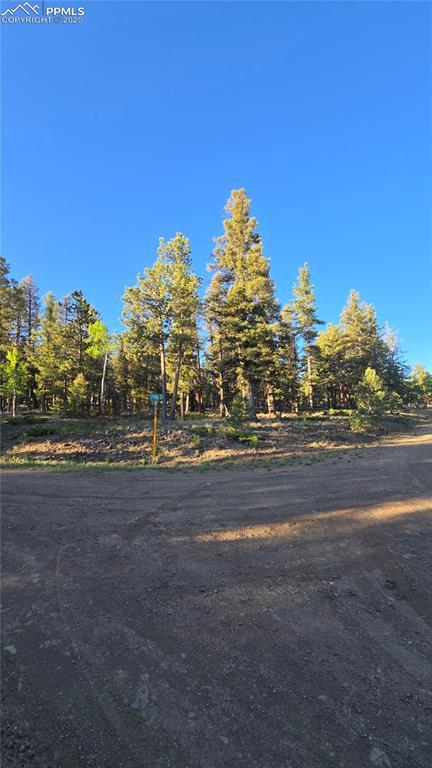 Chubb Ct., Buena Vista, CO 81211