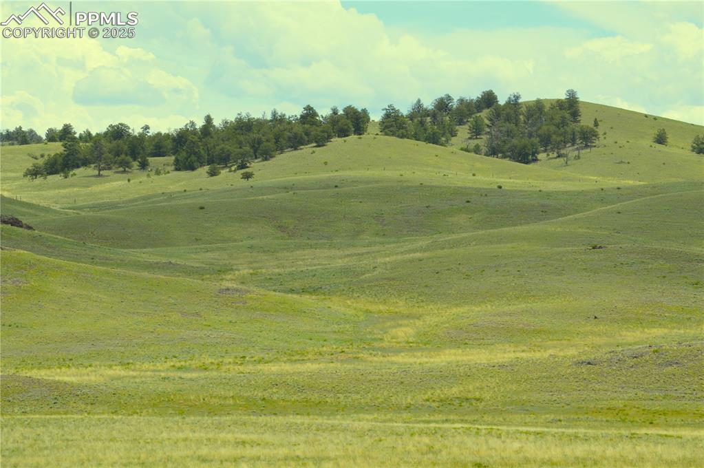 Ahlers Ln., Hartsel, CO 80449