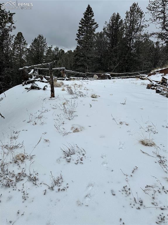 110 Brown Bear Ln., Cripple Creek, CO 80813