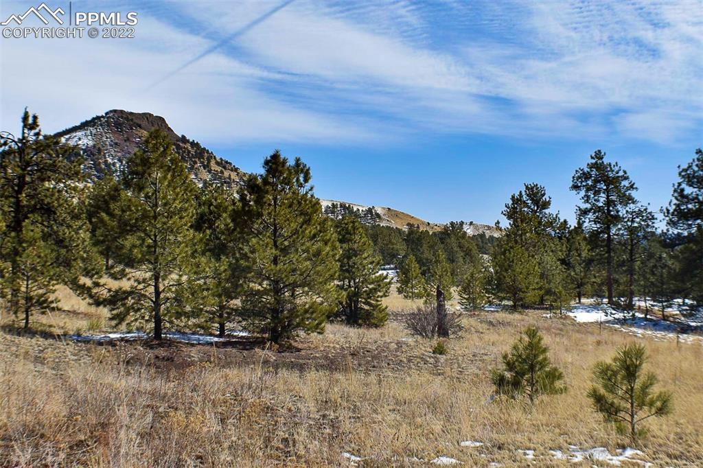 210 Post Rd., Park, CO 80820