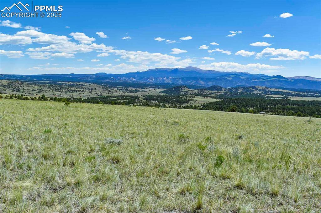 Witcher Mountain Tr., Guffey, CO 80820
