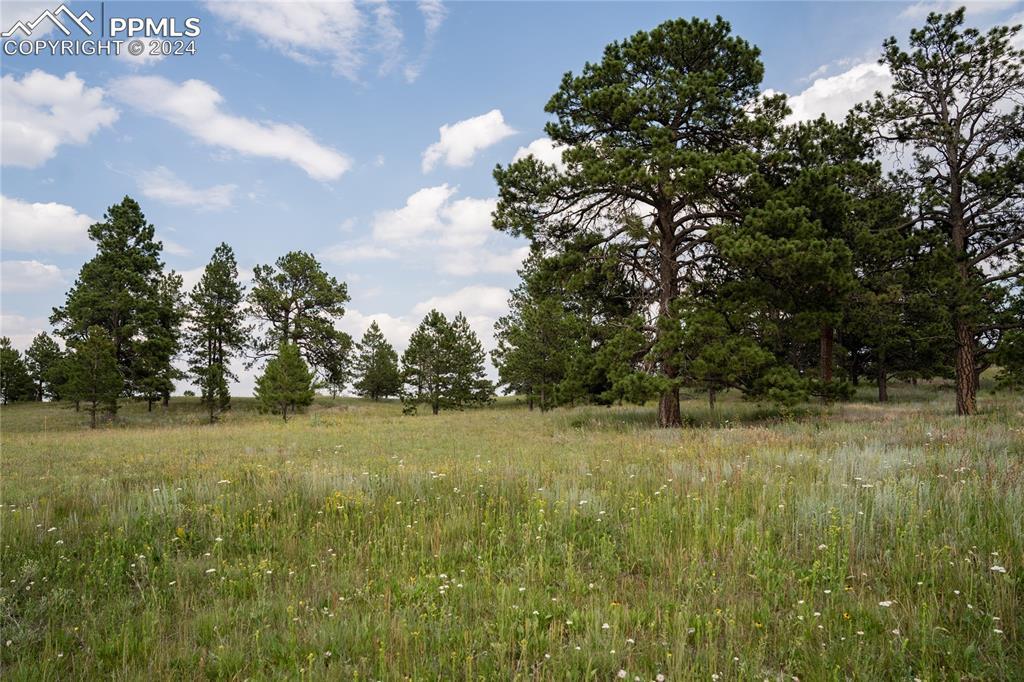 11072 Mosey Tr., Colorado Springs, CO 80908