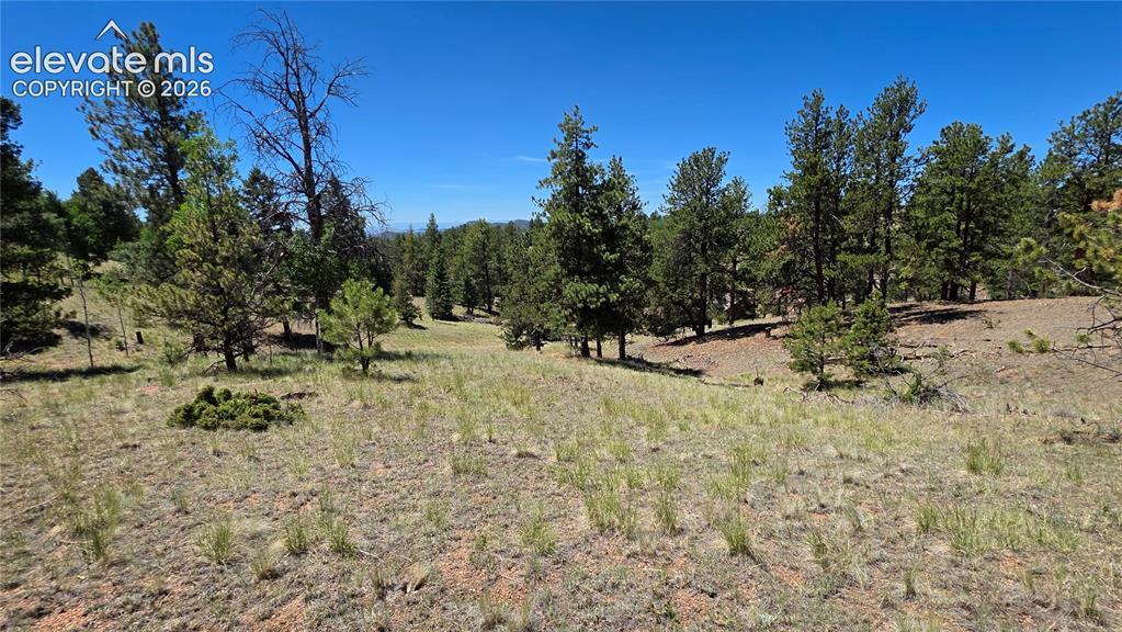 1366 N Mountain Estates Rd., Florissant, CO 80816