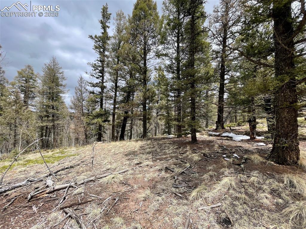 228 Alpine Dr., Florissant, CO 80816