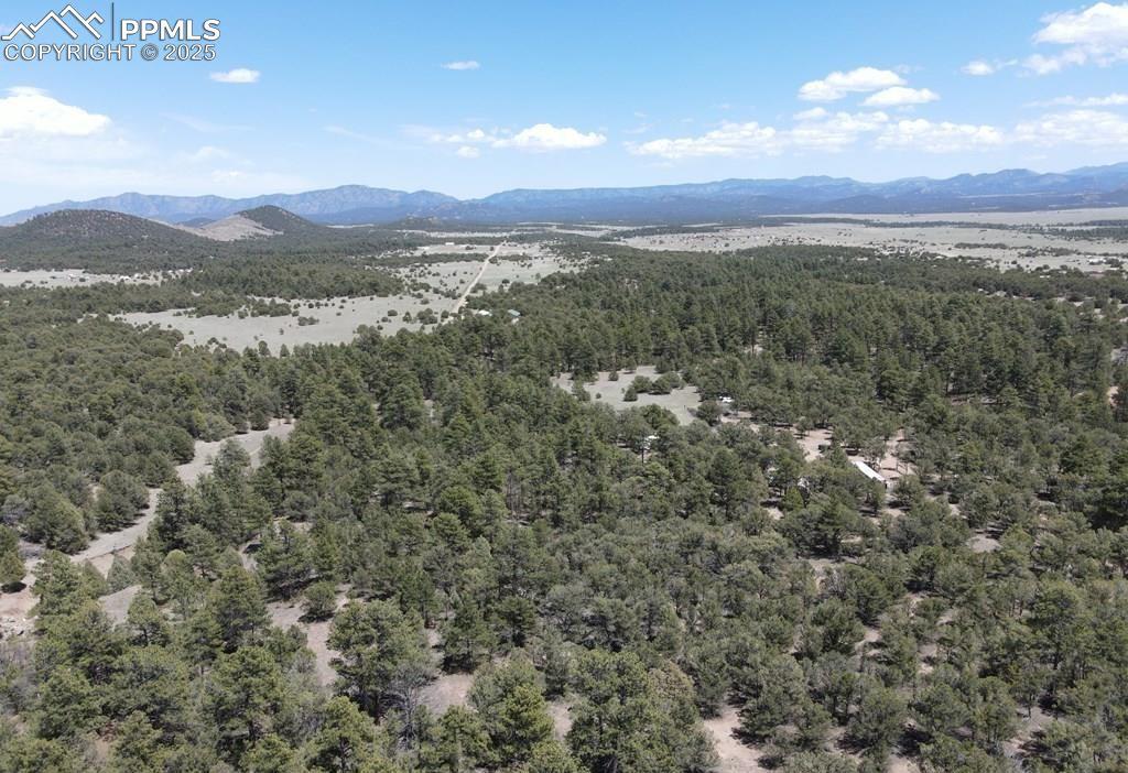 1713 7th Tr., Cotopaxi, CO 81223