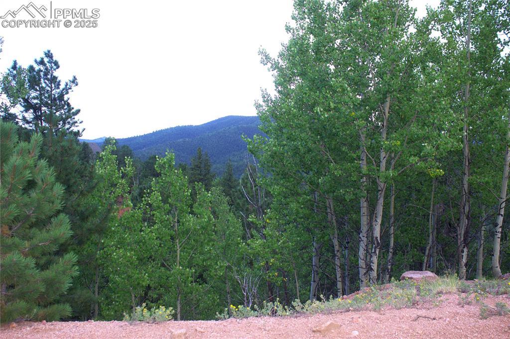 490 Grosbeak Cir., Divide, CO 80814