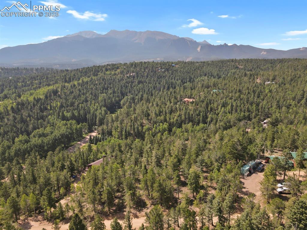 132 Elk Ln., Woodland Park, CO 80863