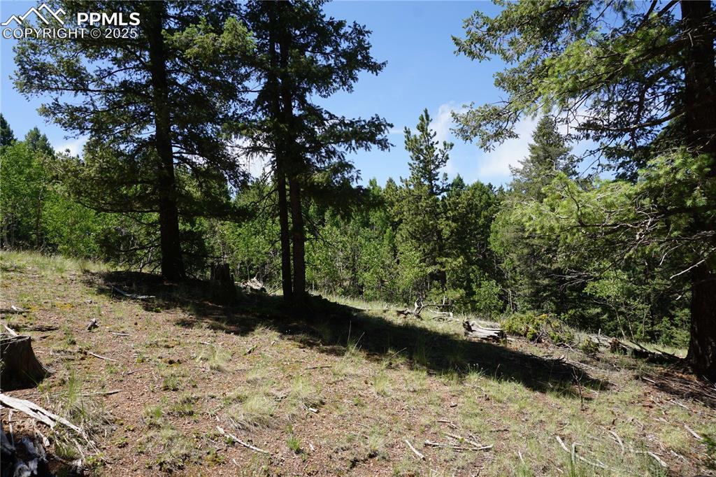1000 Bennett Dr., Cripple Creek, CO 80813