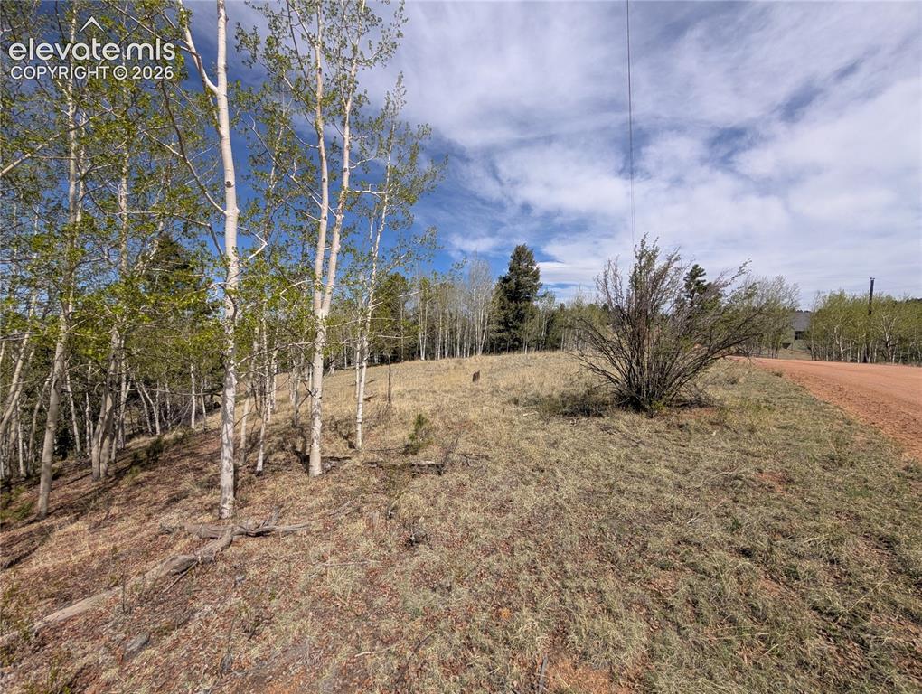 905 May Queen Dr., Cripple Creek, CO 80813