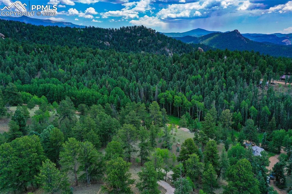 525 Spring Valley Ln., Florissant, CO 80816