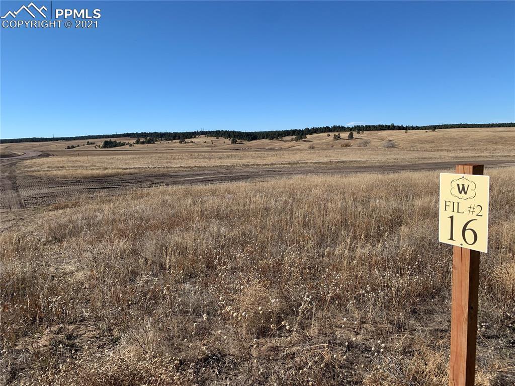 17050 Early Light Dr., Colorado Springs, CO 80908