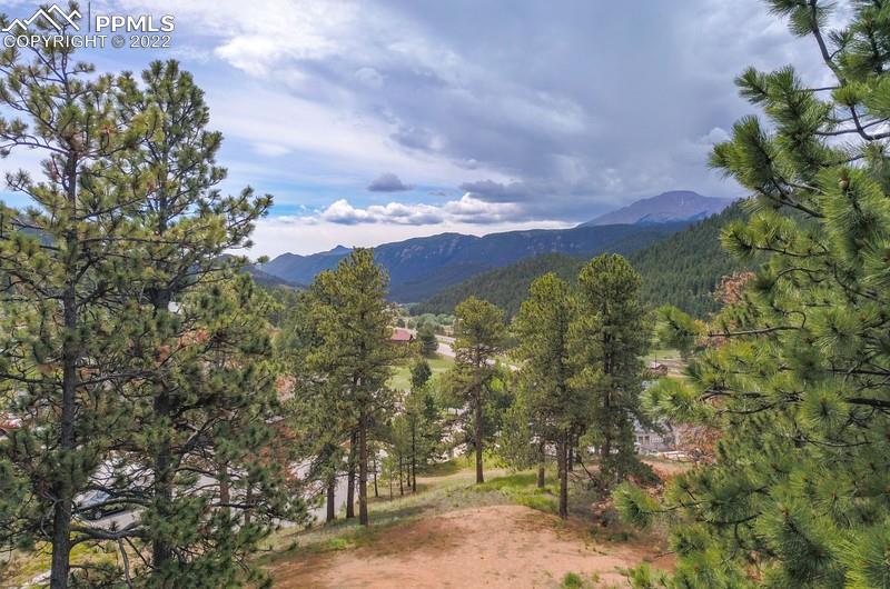 126 Village Ter., Woodland Park, CO 80863